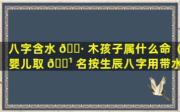 八字含水 🌷 木孩子属什么命（婴儿取 🌹 名按生辰八字用带水带木的名字）